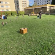 IMG_7261