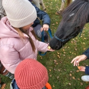 581042472_1408683597924719_2915805977746312850_n