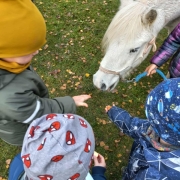 582073868_4486979611529471_7907161993099027319_n