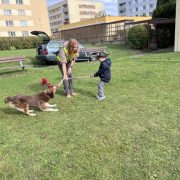 IMG_2629